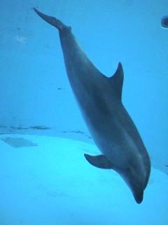 2005-05-21-1.jpg
