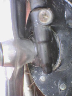 2005-10-15-3.jpg