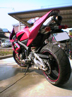 2005-11-13.jpg
