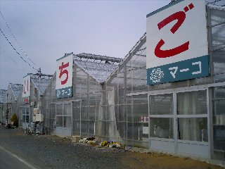 2006-03-22-1.jpg