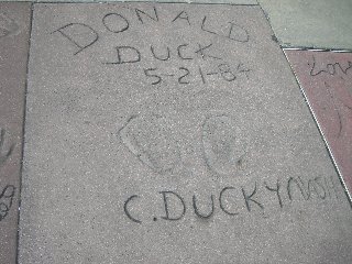 2006-05-10-4.JPG