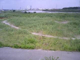 2006-06-18-1.jpg