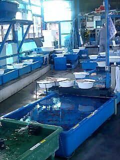 2007-01-15-3.jpg