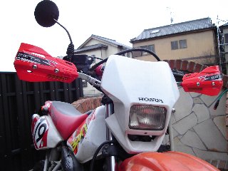 2007-03-31-2.JPG