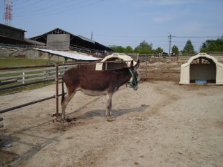 2007-05-08-10.JPG