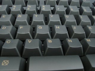 2007-05-08-5.JPG