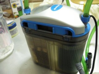 2007-12-17-3.JPG