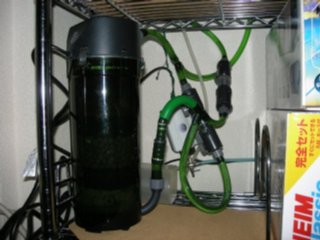 2007-12-17-5.JPG